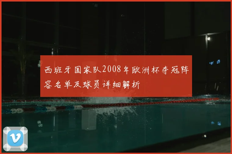 西班牙国家队2008年欧洲杯夺冠阵容名单及球员详细解析