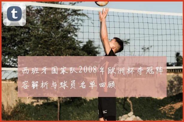 西班牙国家队2008年欧洲杯夺冠阵容解析与球员名单回顾