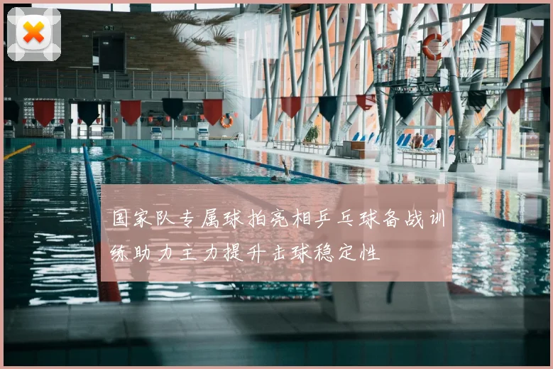 国家队专属球拍亮相乒乓球备战训练助力主力提升击球稳定性