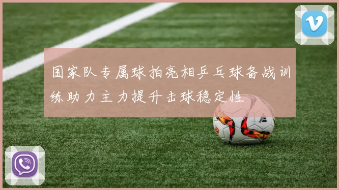 国家队专属球拍亮相乒乓球备战训练助力主力提升击球稳定性