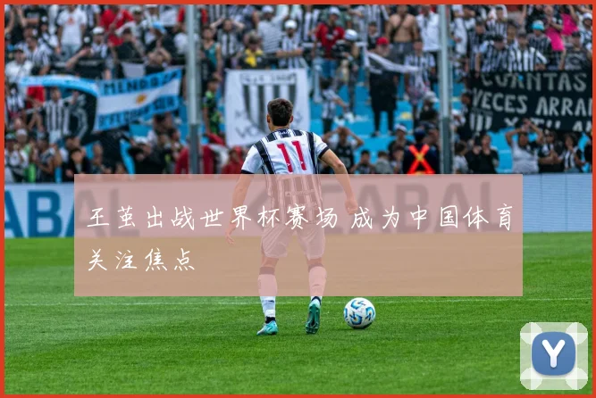 王茧出战世界杯赛场 成为中国体育关注焦点