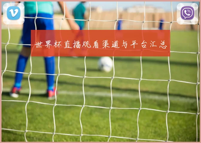 世界杯直播观看渠道与平台汇总