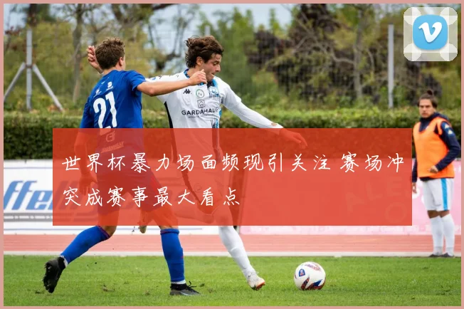 世界杯暴力场面频现引关注 赛场冲突成赛事最大看点