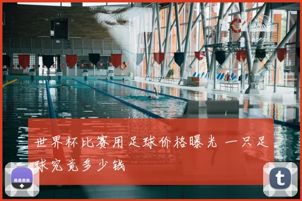 世界杯比赛用足球价格曝光 一只足球究竟多少钱