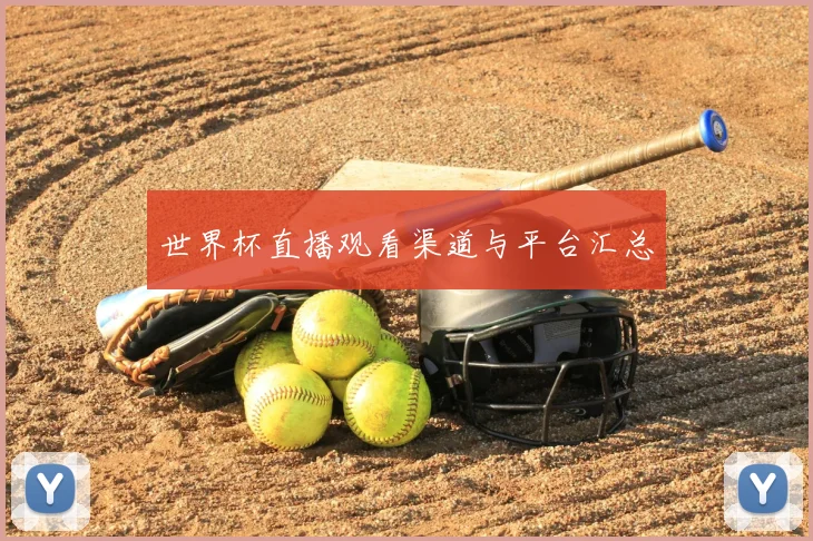 世界杯直播观看渠道与平台汇总